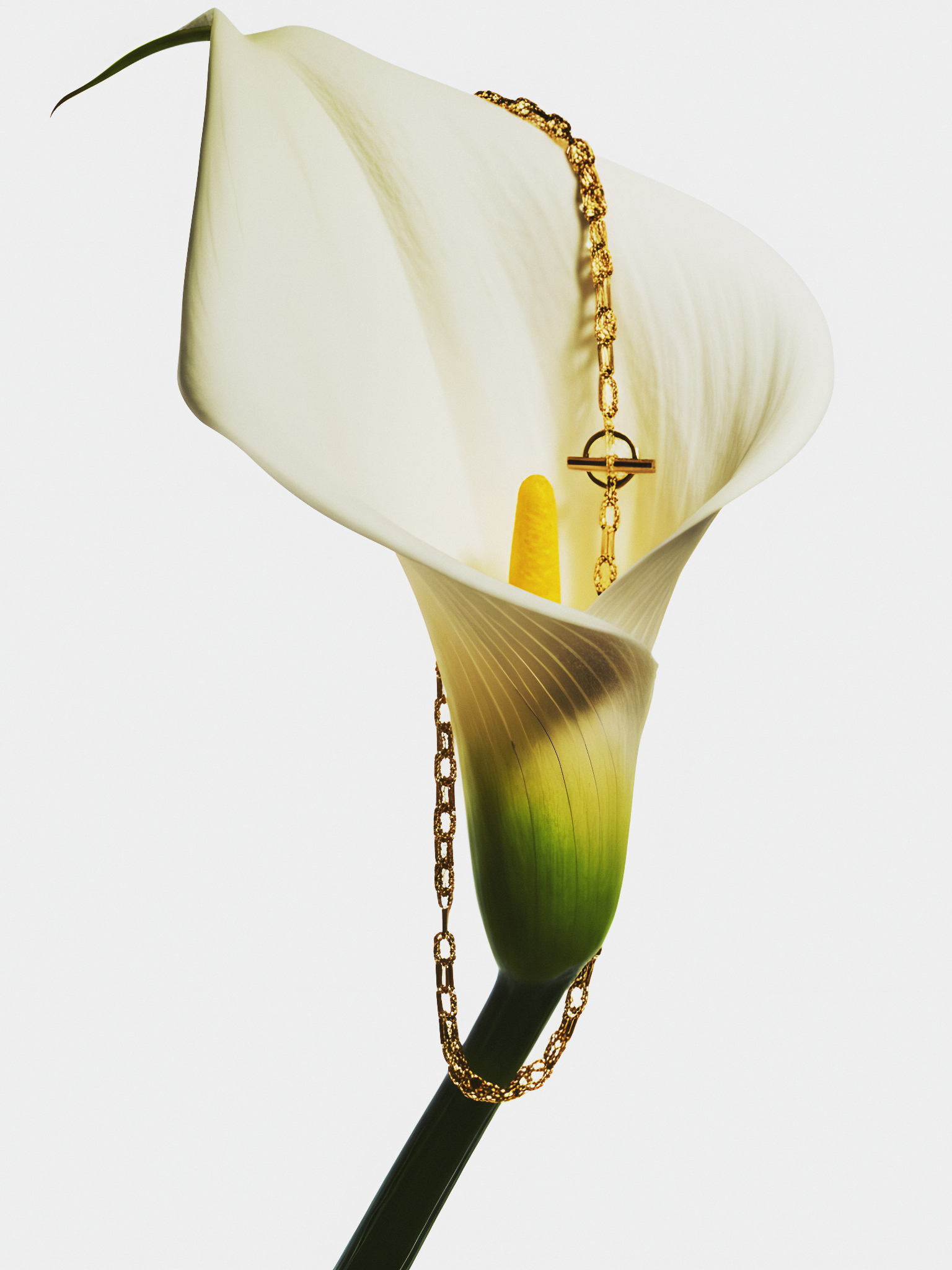 Scroll image 1